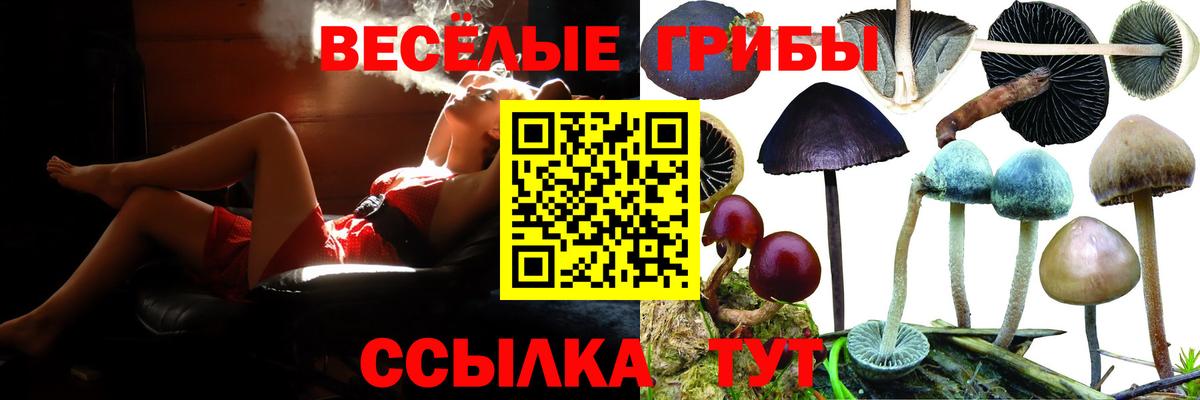 Ангарск  Галлюциногенные грибы ЛСД  Вход с VPN 